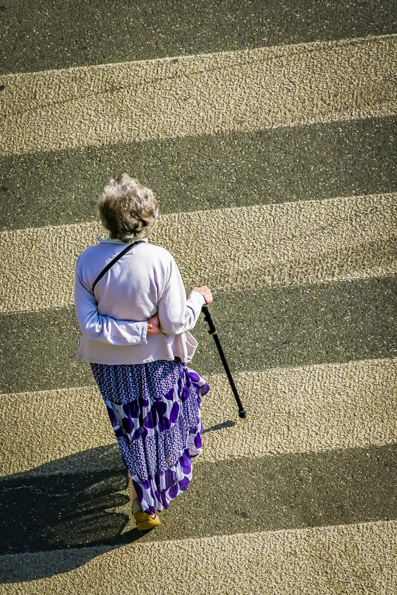 Older woman in a purple skirt crossing a striped crosswalk with a cane